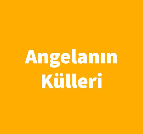 Angelanın Külleri - Frank McCount