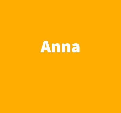 Anna - Niccolo Ammaniti