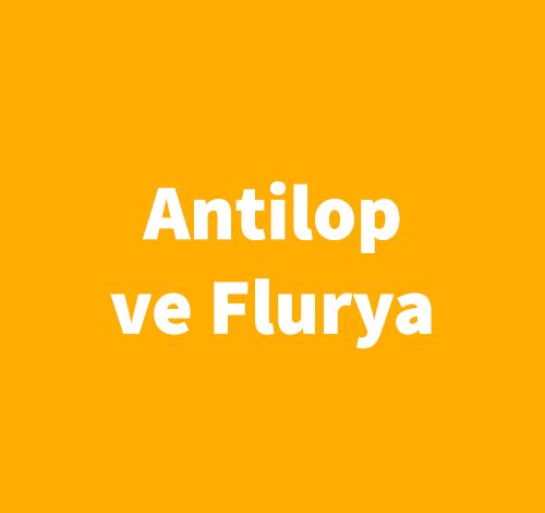 Antilop ve Flurya - Margaret Atwood