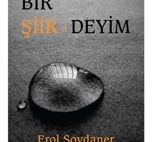 Bir Şiirdeyim - Erol Soydaner