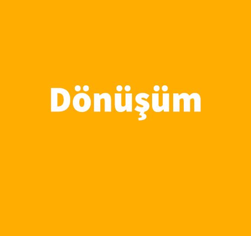Dönüşüm - Morgan Rice