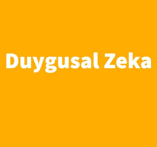 Duygusal Zeka