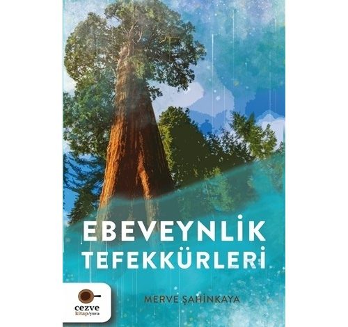 Ebeveynlik Tefekkürleri - Merve Şahinkaya Kitabı PDF indir 1 Ebeveynlik Tefekkürleri - Merve Şahinkaya