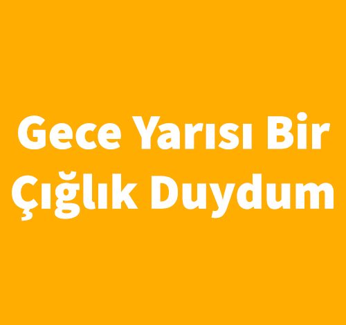 Gece Yarısı Bir Çığlık Duydum - Lois Duncan