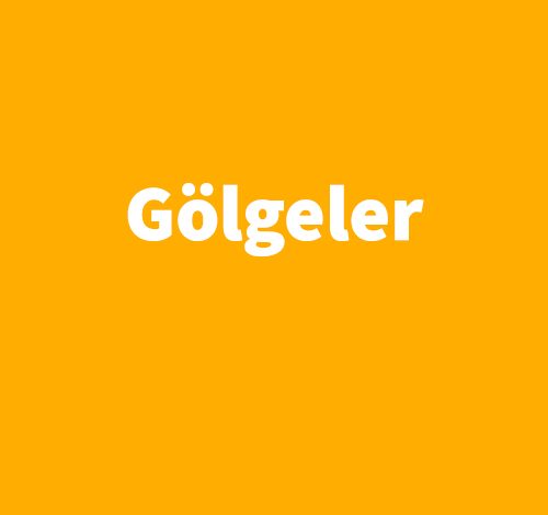 Gölgeler - Zülfü Livaneli