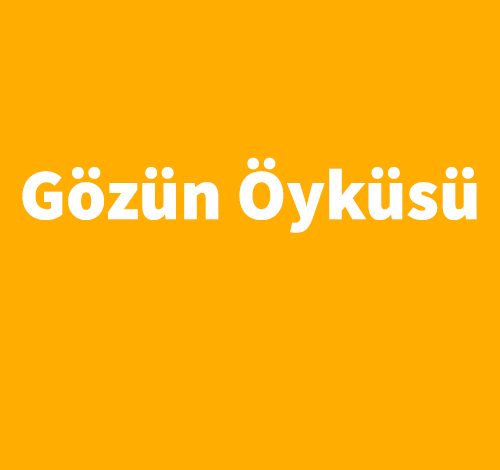 Gözün Öyküsü - Georges Bataille