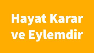 Homo Ludens - Johan Huizinga Kitabı PDF indir 4 fotoğrafı