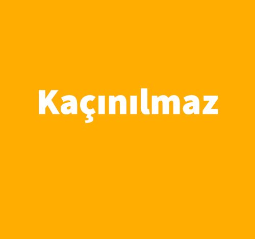 Kaçınılmaz - AMY A. BARTOL