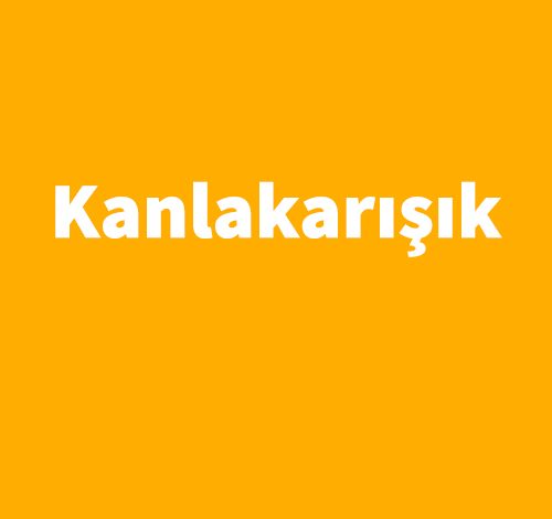Kanlakarışık - Algan Sezgintüredi