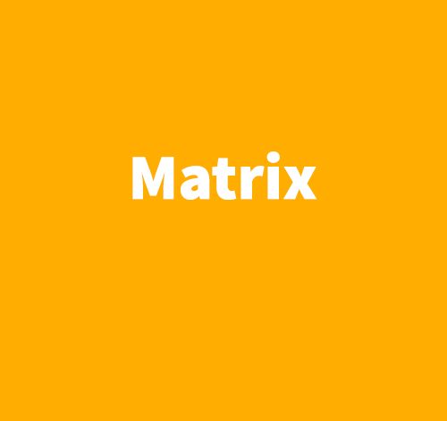 Matrix - Slavoj Zizek