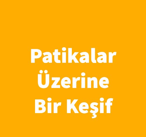Patikalar Üzerine-Bir Keşif - Robert Moor