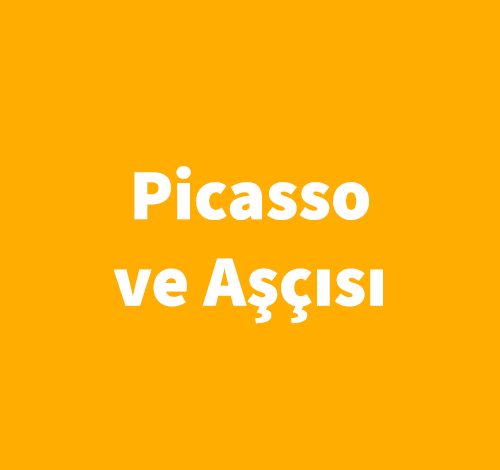Picasso ve Aşçısı - Camille Aubray
