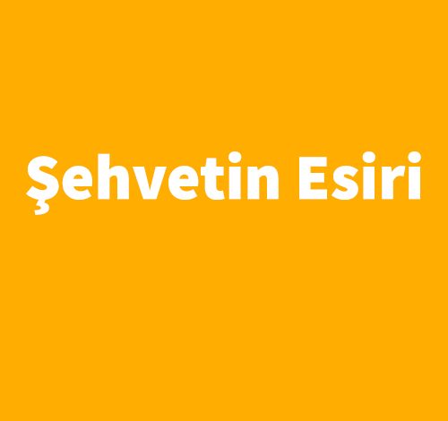 Şehvetin Esiri - Nicole Jordan