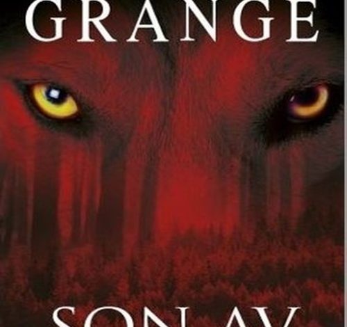 Son Av - Jean-Christophe Grange