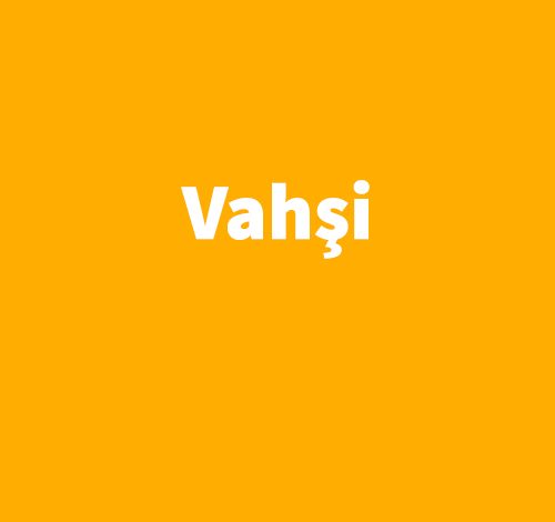 Vahşi - V. E. Schwab