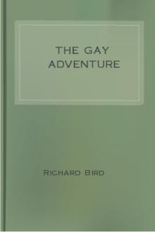 The Gay Adventure by Richard Bird