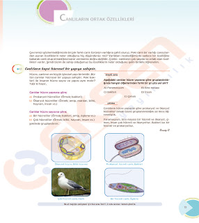 eksen2btyt2bbiyoloji2bkonu2banlat25c425b1m25c425b12bpdf2bindir sayfa 004