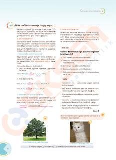 eksen2btyt2bbiyoloji2bkonu2banlat25c425b1m25c425b12bpdf2bindir sayfa 005 1