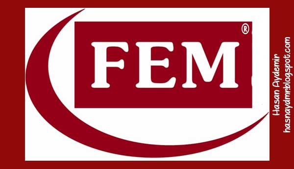 fem 19