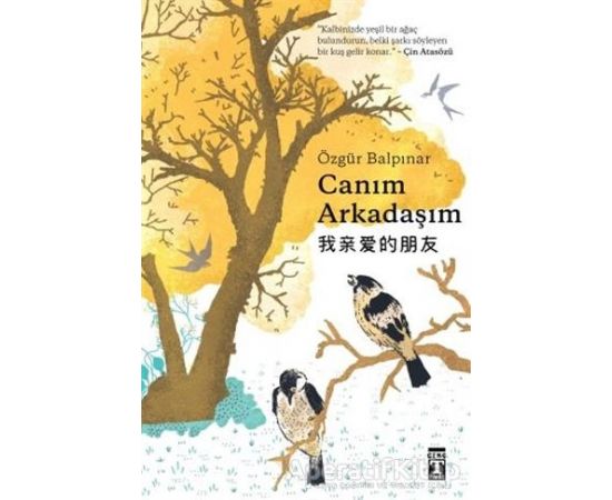 Canım Arkadaşım - Özgür Balpınar - Genç Timaş