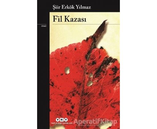 Fil Kazası - Şiir Erkök Yılmaz - Yapı Kredi Yayınları