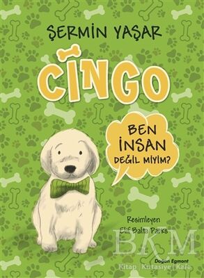 Cingo