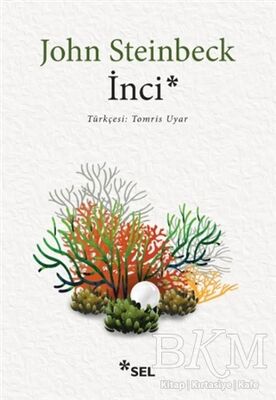 İnci